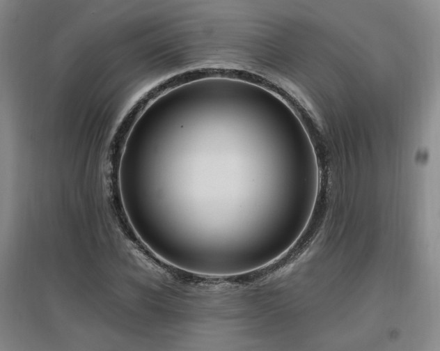 X0000097460926200802221210