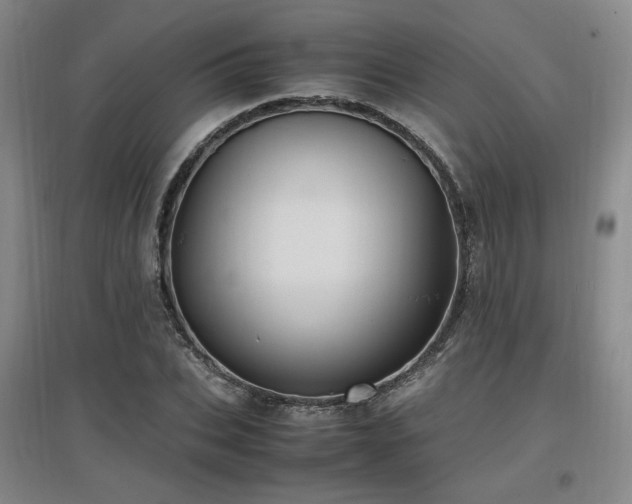 X0000097460927200802221210