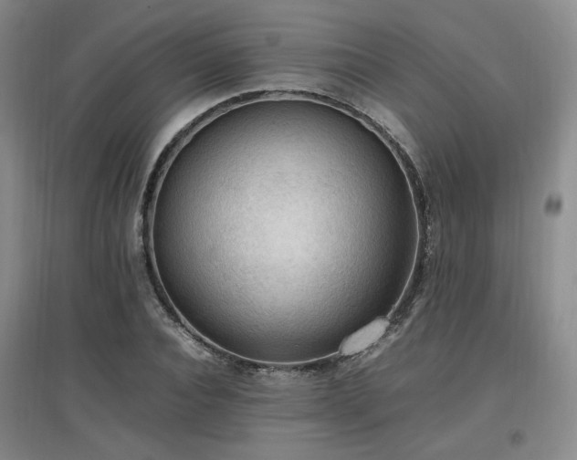 X0000097460928200802221210