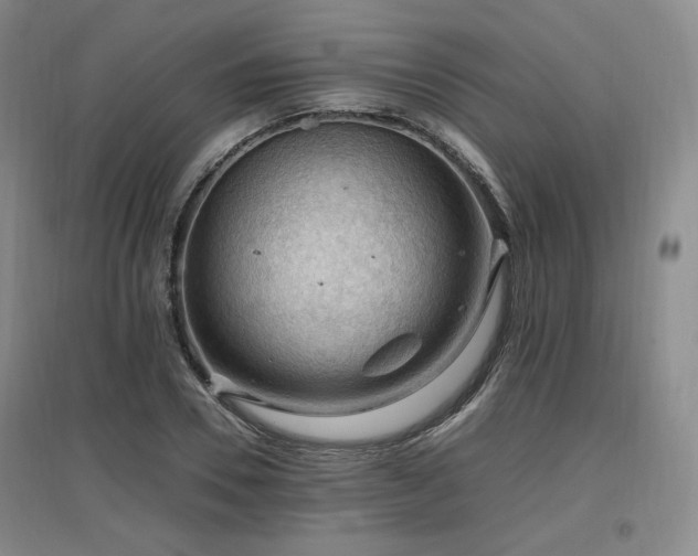 X0000097460930200802221210