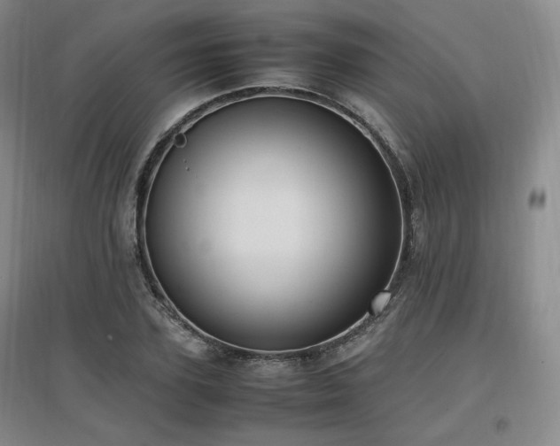 X0000097460931200802221210