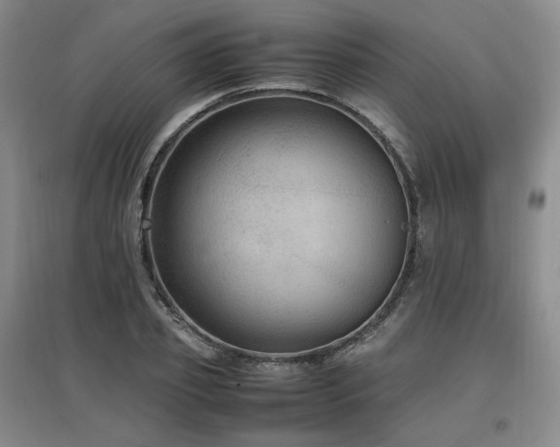 X0000097460933200802221210