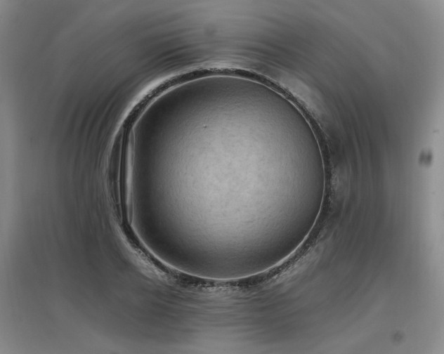 X0000097460934200802221210