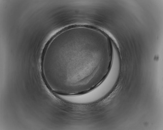 X0000097460935200802221210