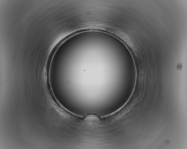 X0000097460936200802221210