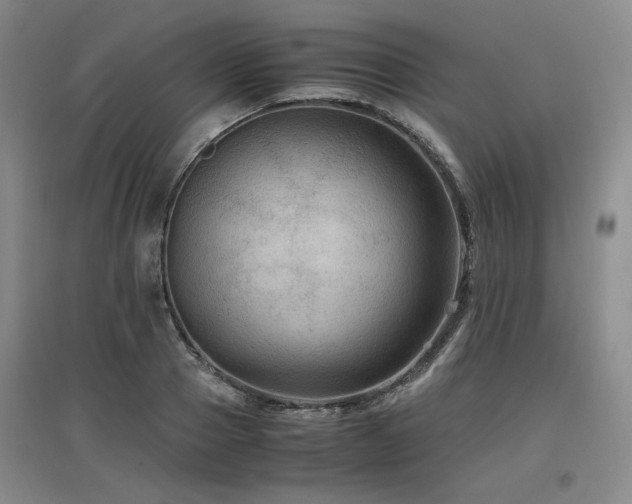 X0000097460937200802221210