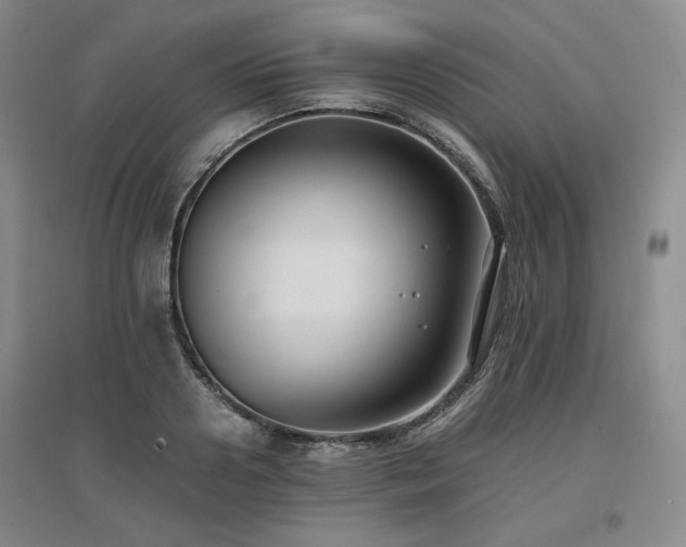X0000097460938200802221210