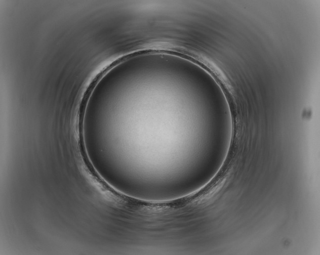 X0000097460939200802221210