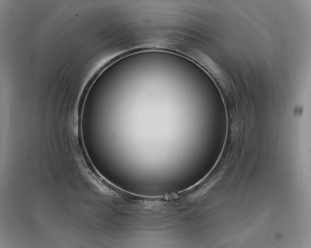 X0000097460940200802221210