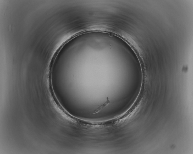 X0000097460941200802221210