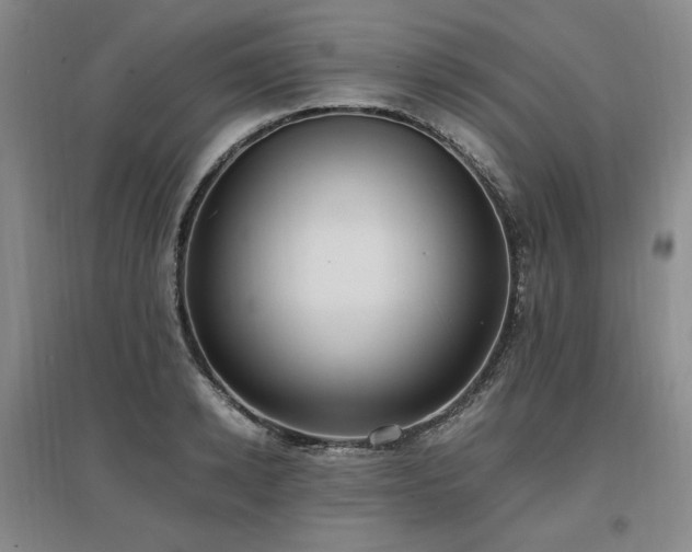 X0000097460942200802221210