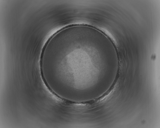 X0000097460943200802221210