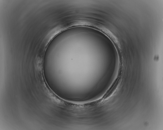 X0000097460945200802221210