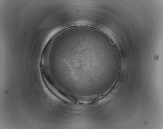 X0000097460946200802221210