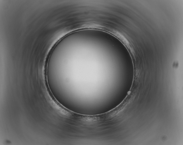 X0000097460947200802221210