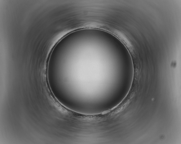 X0000097460948200802221210