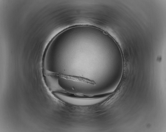 X0000097460951200802221210