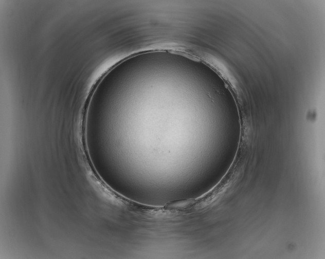 X0000097460952200802221210