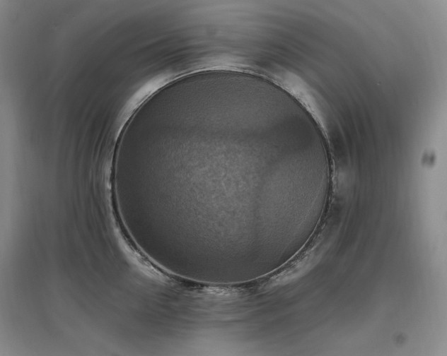 X0000097460954200802221210