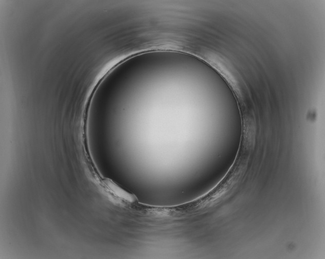 X0000097460956200802221210