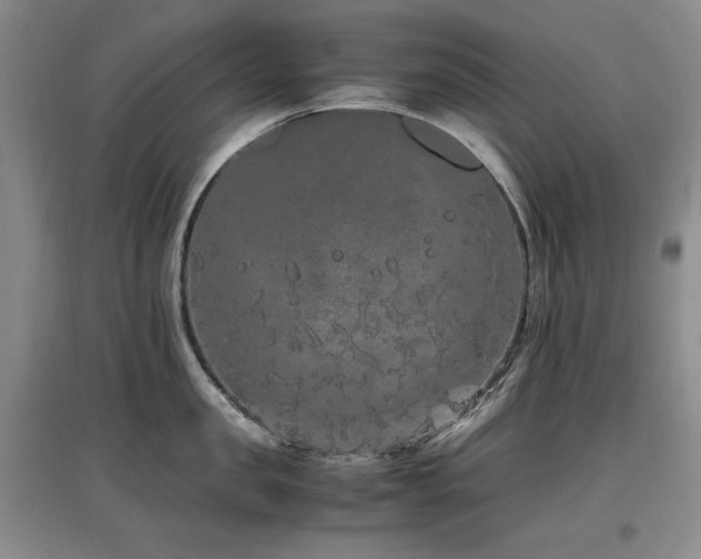 X0000097460957200802221210