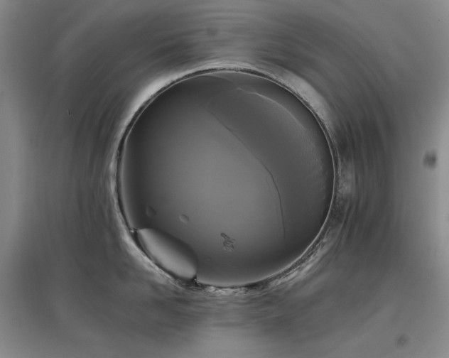 X0000097460958200802221210
