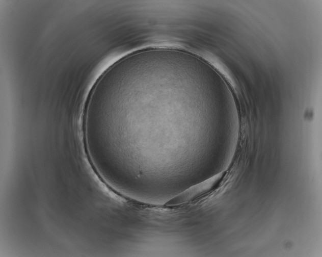 X0000097460959200802221210