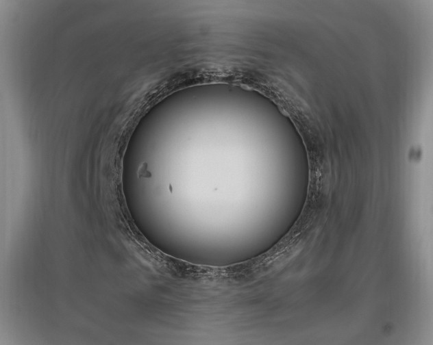 X0000097460961200802221209