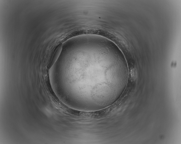 X0000097460963200802221209