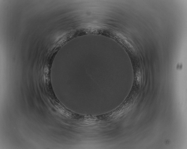 X0000097460964200802221209