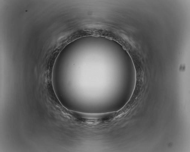X0000097460965200802221209