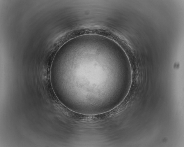 X0000097460966200802221209
