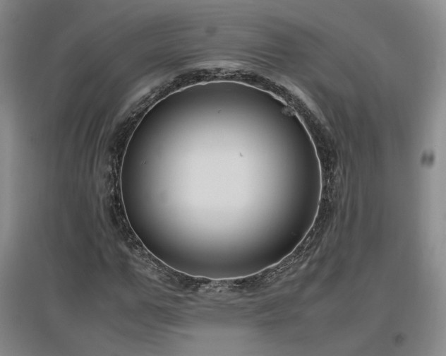 X0000097460967200802221209