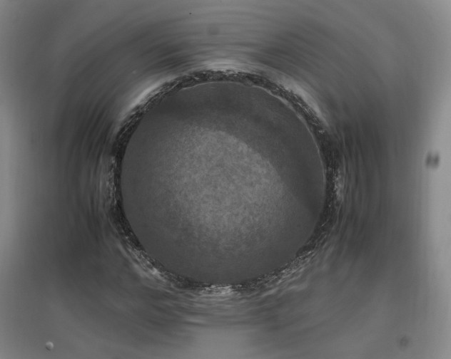 X0000097460968200802221209