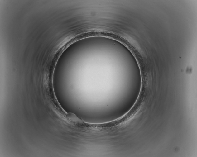 X0000097460969200802221209