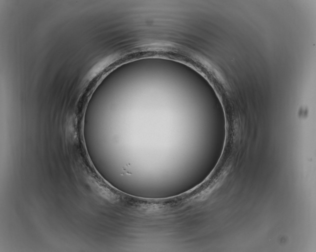 X0000097460970200802221209