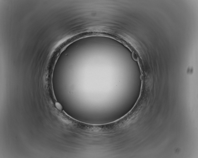 X0000097460971200802221209