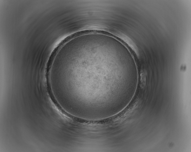 X0000097460972200802221209
