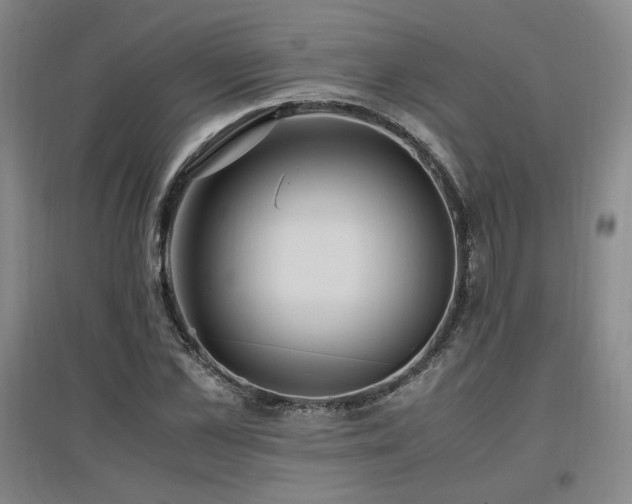 X0000097460973200802221209