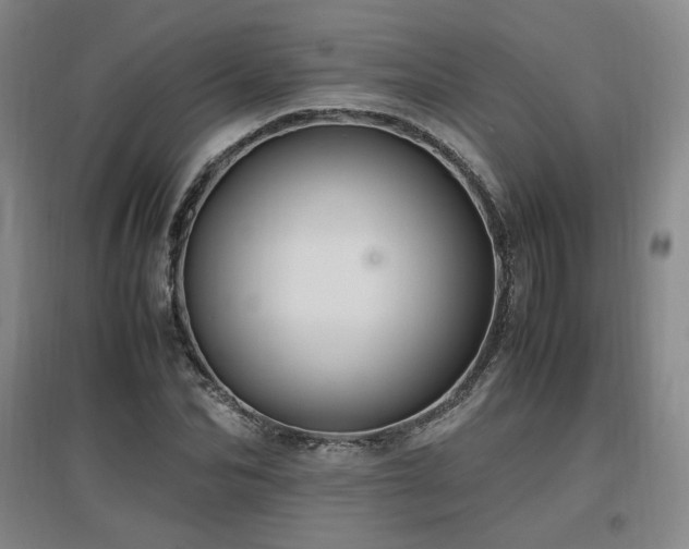 X0000097460974200802221209