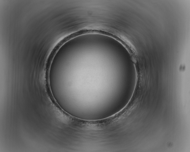 X0000097460976200802221209