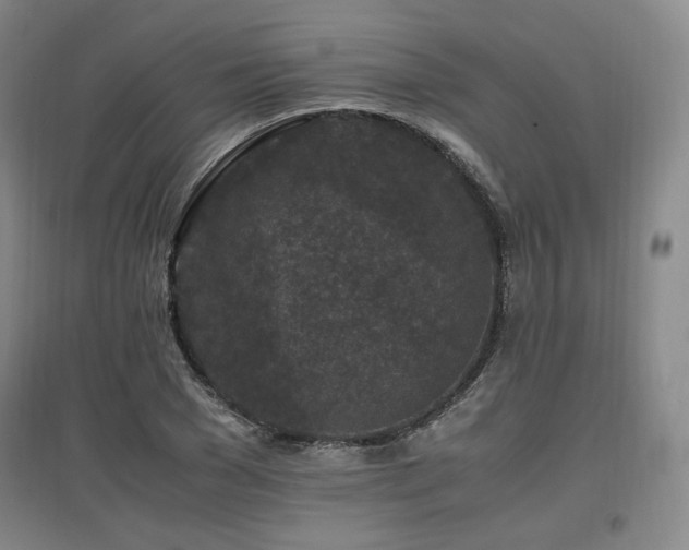 X0000097460977200802221209