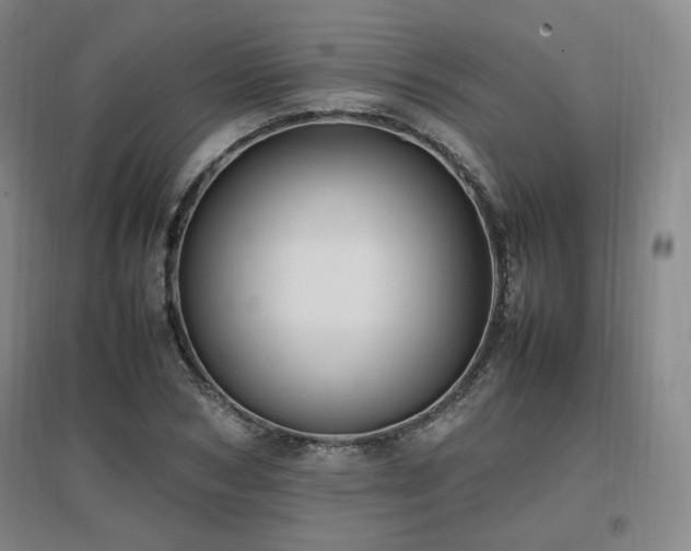 X0000097460978200802221209