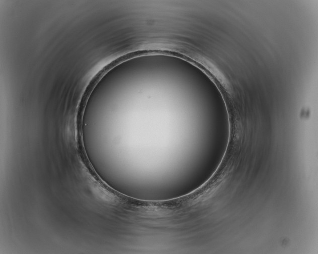 X0000097460980200802221209