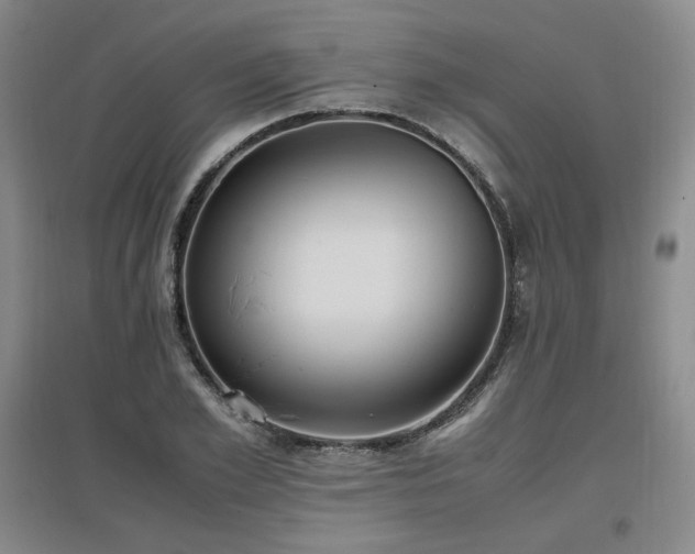 X0000097460981200802221209