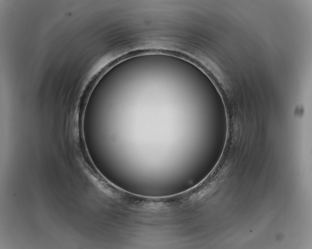 X0000097460982200802221209