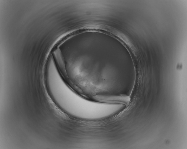 X0000097460984200802221209