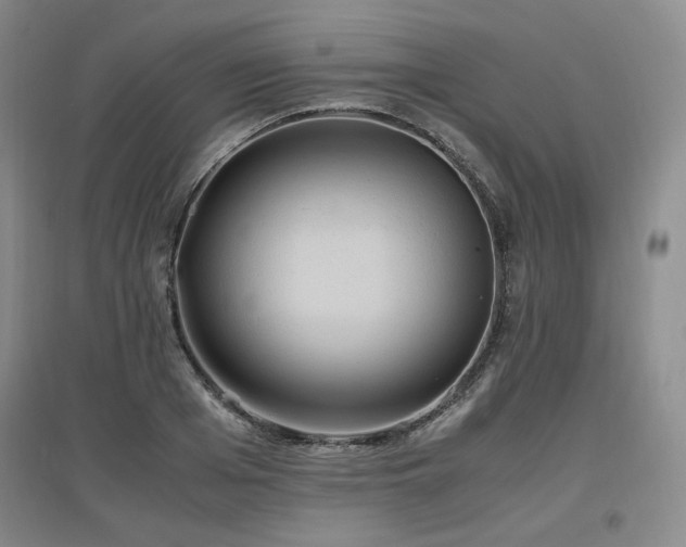 X0000097460985200802221209