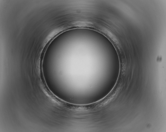 X0000097460986200802221209