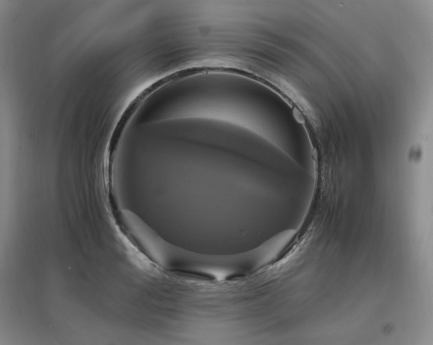 X0000097460988200802221209